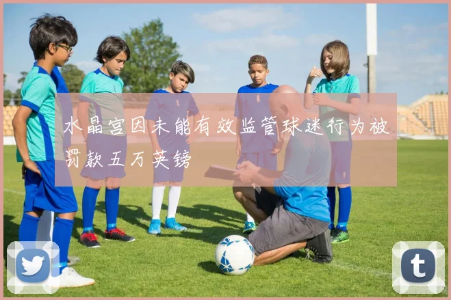 水晶宫因未能有效监管球迷行为被罚款五万英镑