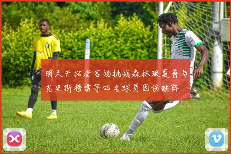 明天开拓者客场挑战森林狼夏普与克里斯穆雷等四名球员因伤缺阵